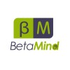 Betamind Educational Services