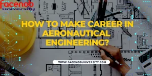 How to make career in aeronautical engineering
