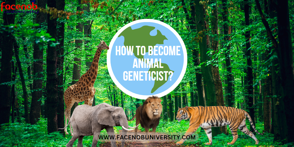 How to Become Animal Geneticist?