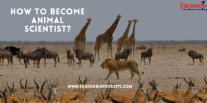 How to Become Animal Scientist