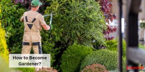 How to Become Gardener