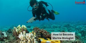 How to Become Marine Biologist
