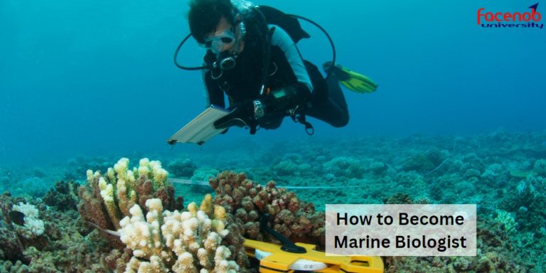 How to Become Marine Biologist?