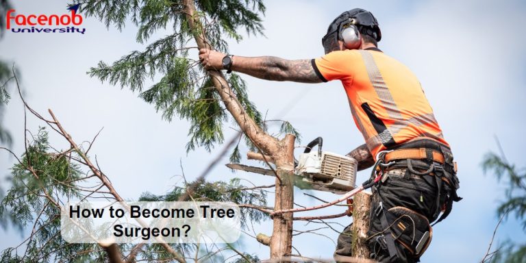 How to Become Tree Surgeon?