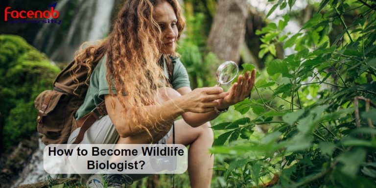 How to Become Wildlife Biologist?