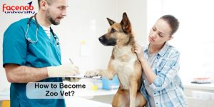 How to Become Zoo Vet?