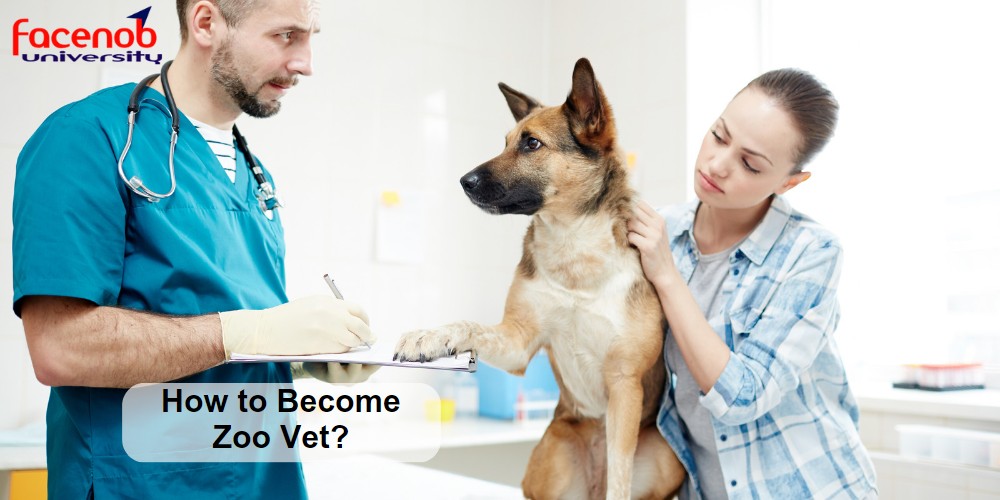 How to Become Zoo Vet?