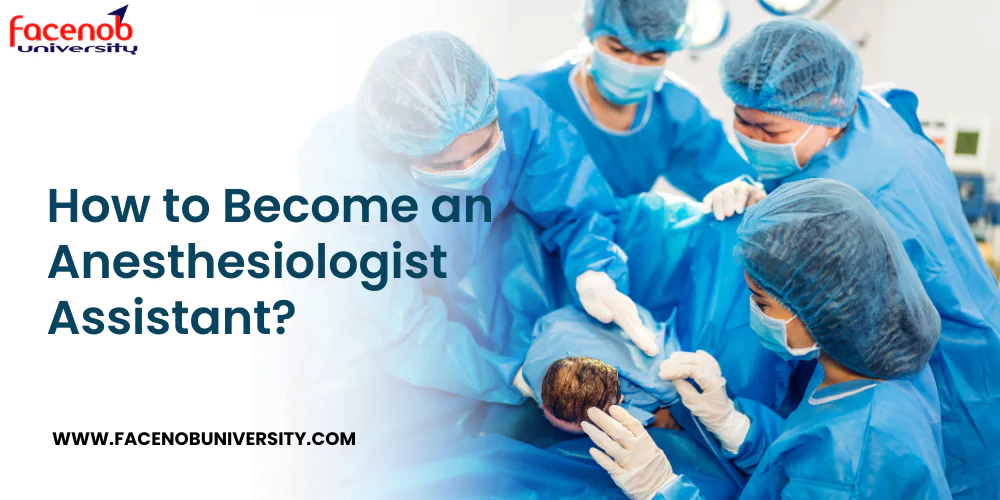 How to Become an Anesthesiologist Assistant?