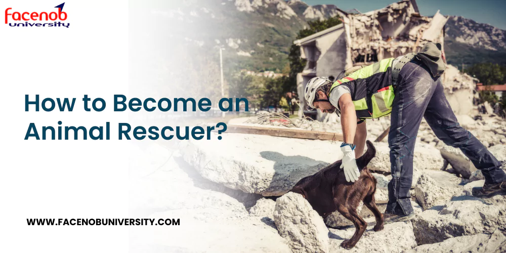 How to Become an Animal Rescuer?